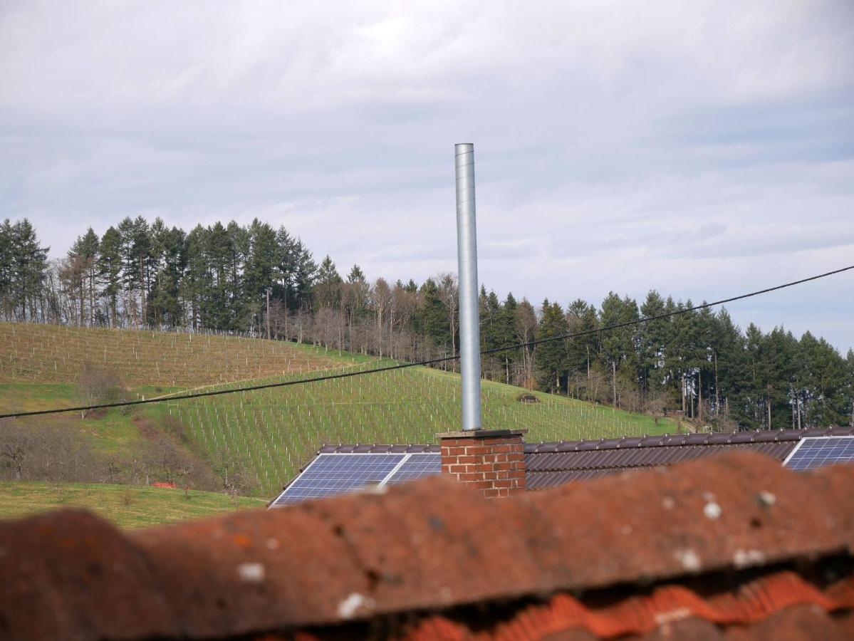 Ferienwohnung Obere Alm Oberkirch  Exterior foto