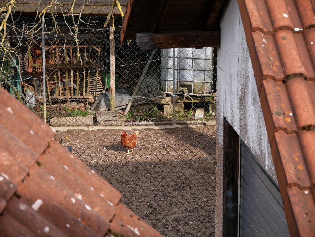 Ferienwohnung Obere Alm Oberkirch  Exterior foto